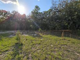 Picture of 163 Indian Trail, Florahome, FL 32140