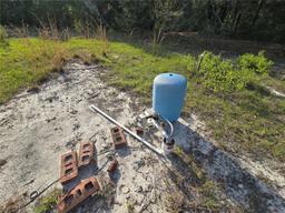 Picture of 163 Indian Trail, Florahome, FL 32140