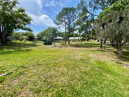 Picture of 1681 Macdonnell Court, Palm Harbor, FL 34684
