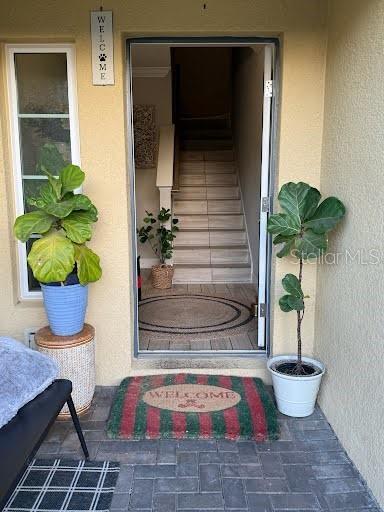 Picture of 4053 Rocky Shores Dr, Tampa FL 33634