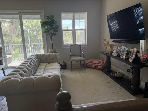 Picture of 4053 Rocky Shores Dr, Tampa FL 33634