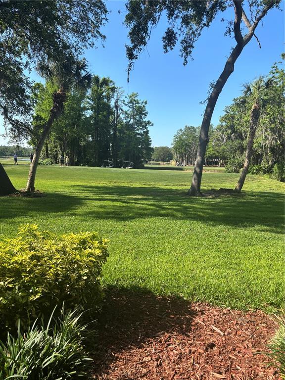 Picture of 36750 Us 19 N Unit 5-111, Palm Harbor FL 34684
