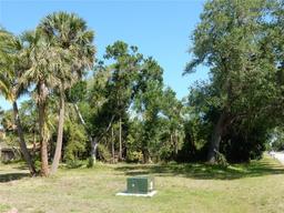 Picture of 1233 Dewhurst Street, Port Charlotte, FL 33952