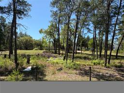 Picture of 1882 Bellamy Road, Florahome, FL 32140