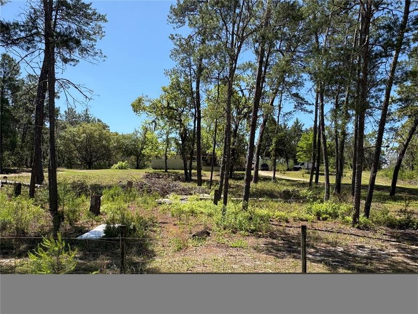 Picture of 1882 Bellamy Road, Florahome FL 32140