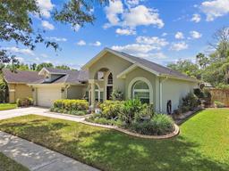 Picture of 16608 Meadow Cove Street, Tampa, FL 33624