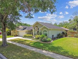 Picture of 16608 Meadow Cove Street, Tampa, FL 33624