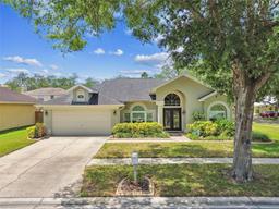 Picture of 16608 Meadow Cove Street, Tampa, FL 33624