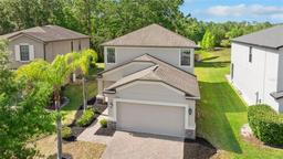 Picture of 9908 Spice Bush Court, Tampa, FL 33647
