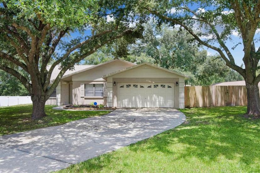 Picture of 23253 Granite Place, Land O Lakes FL 34639