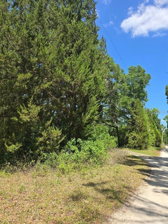Picture of 2521 NW 182Nd Street Nw, Newberry FL 32669