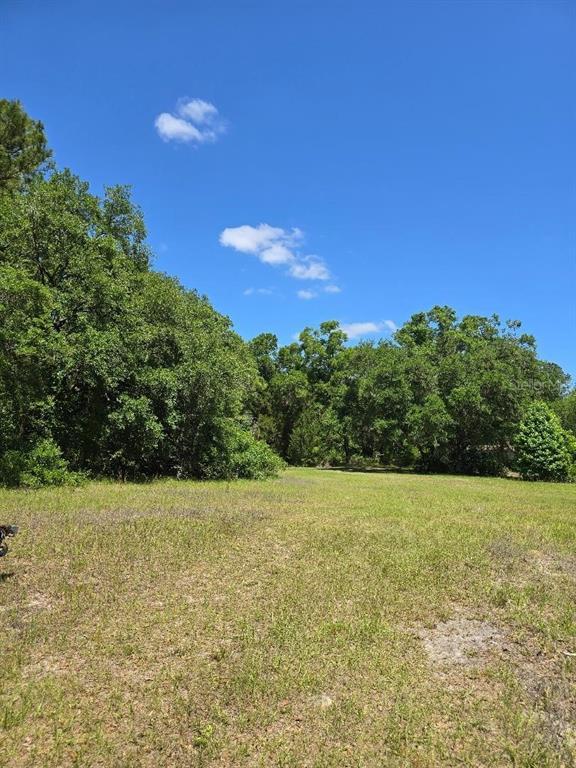 Picture of 2521 NW 182Nd Street Nw, Newberry FL 32669
