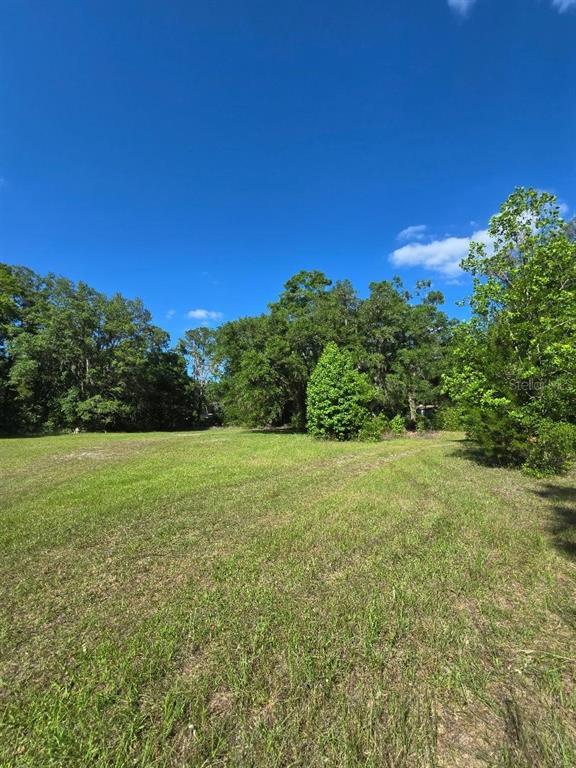 Picture of 2521 NW 182Nd Street Nw, Newberry FL 32669