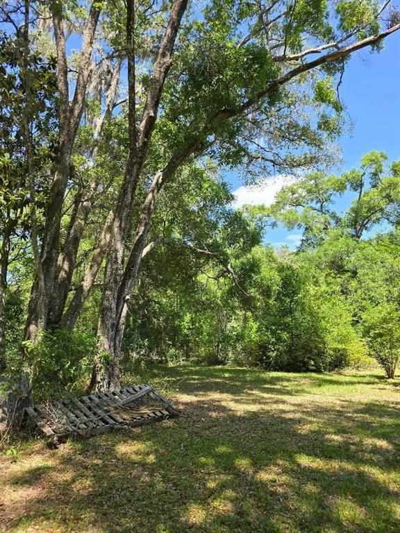 Picture of 2521 NW 182Nd Street Nw, Newberry FL 32669
