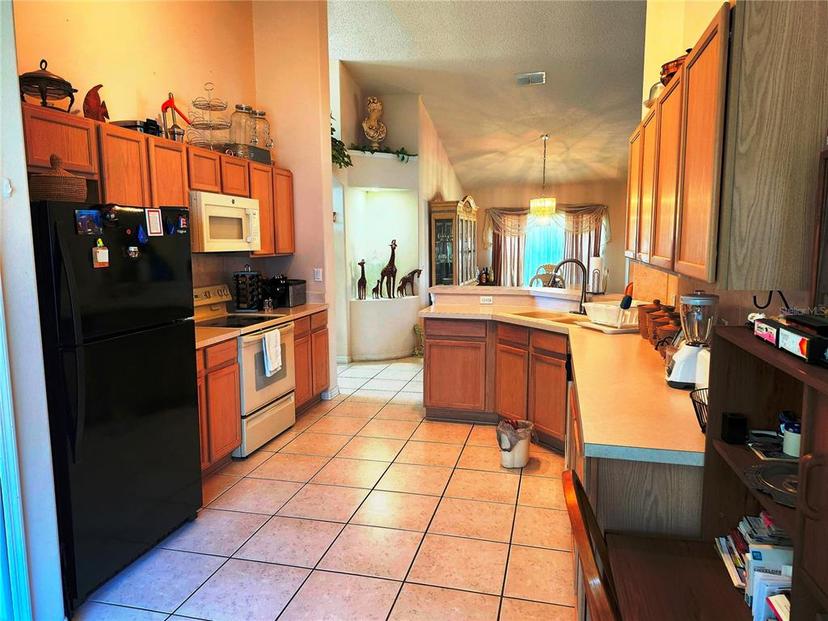 Picture of 4613 Eaglet Lane, Kissimmee FL 34746