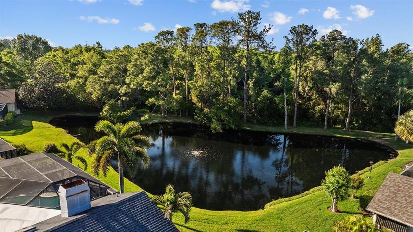 Picture of 3579 Landmark Trail, Palm Harbor FL 34684