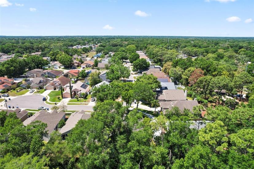 Picture of 2515 Wekiva Walk Way, Apopka FL 32703