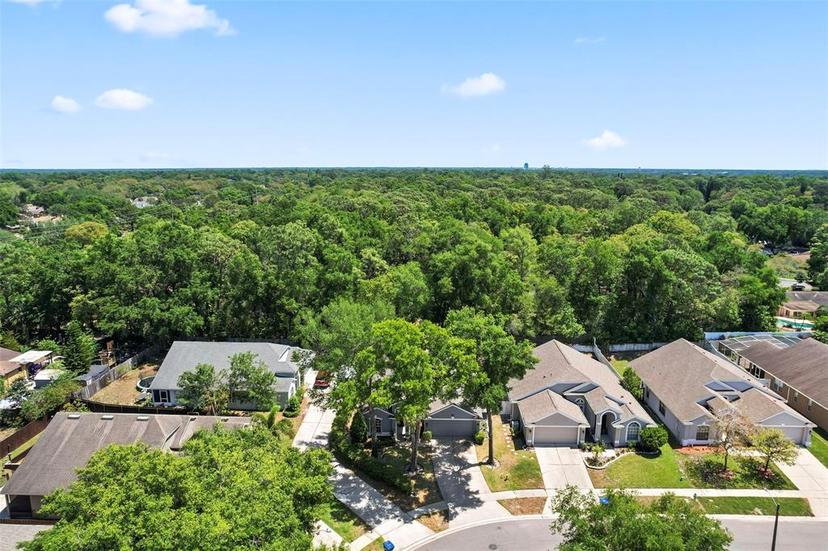 Picture of 2515 Wekiva Walk Way, Apopka FL 32703