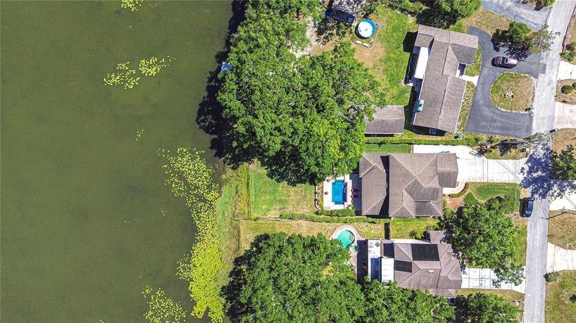 Picture of 1324 Eckles Drive, Tampa FL 33612