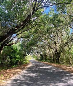 Picture of 17296 SE 260Th Avenue Road, Umatilla, FL 32784
