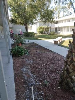 Picture of 379 47Th Avenue N Unit 104, St Petersburg, FL 33703