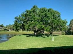 Picture of 776 Lakewood Drive, Palm Harbor, FL 34684