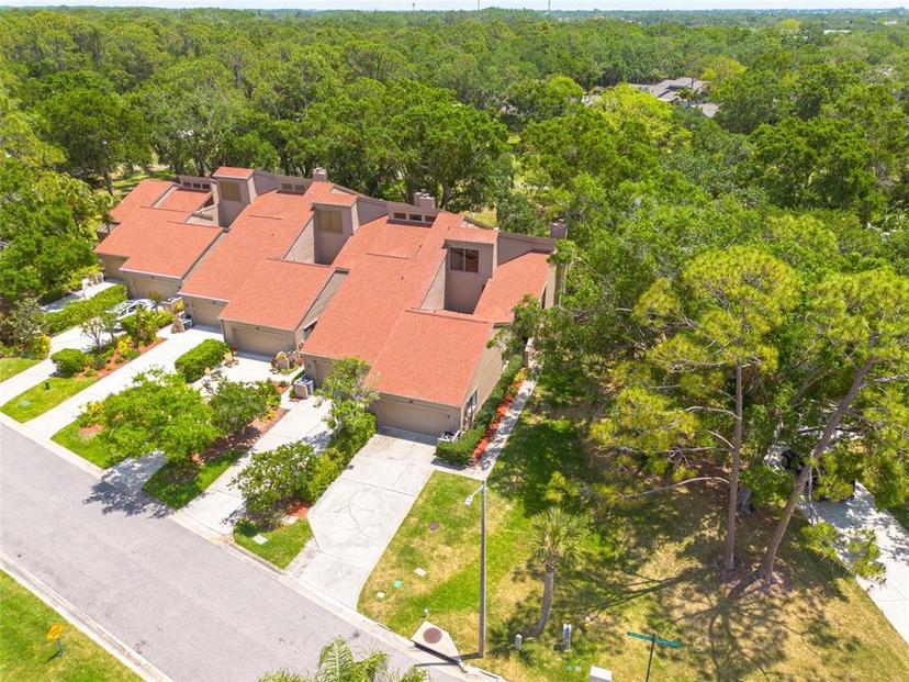 Picture of 60 Woodridge Circle, Oldsmar FL 34677