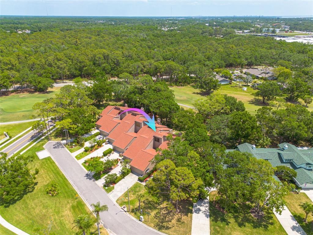 Picture of 60 Woodridge Circle, Oldsmar, FL 34677