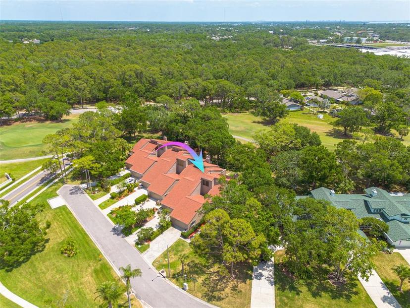 Picture of 60 Woodridge Circle, Oldsmar FL 34677