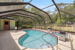 Picture of 8210 N Golfview Drive, Citrus Springs, FL 34434