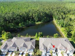 Picture of 5509 Cumberland Star Court, Lutz, FL 33558