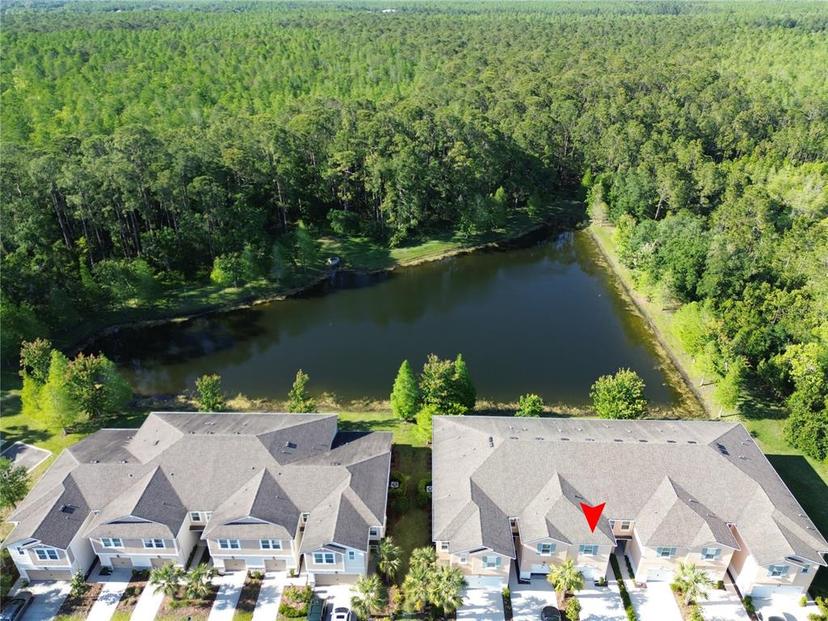Picture of 5509 Cumberland Star Court, Lutz FL 33558
