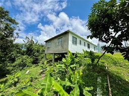 Picture of Carr. 186 Bo Jimenez KM. 25.1, Rio Grande, PR 00745