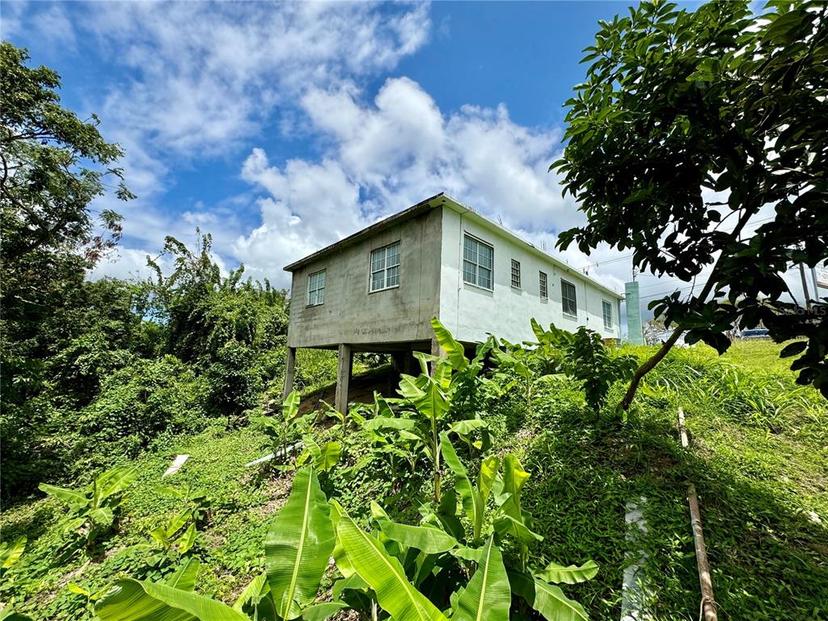 Picture of Carr. 186 Bo Jimenez KM. 25.1, Rio Grande, PR 00745