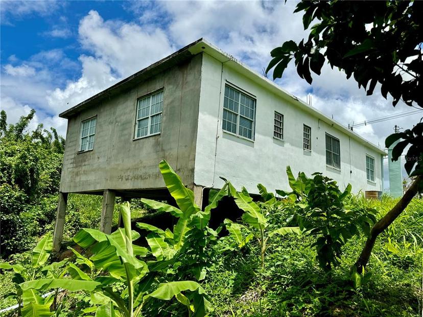 Picture of Carr. 186 Bo Jimenez KM. 25.1, Rio Grande, PR 00745