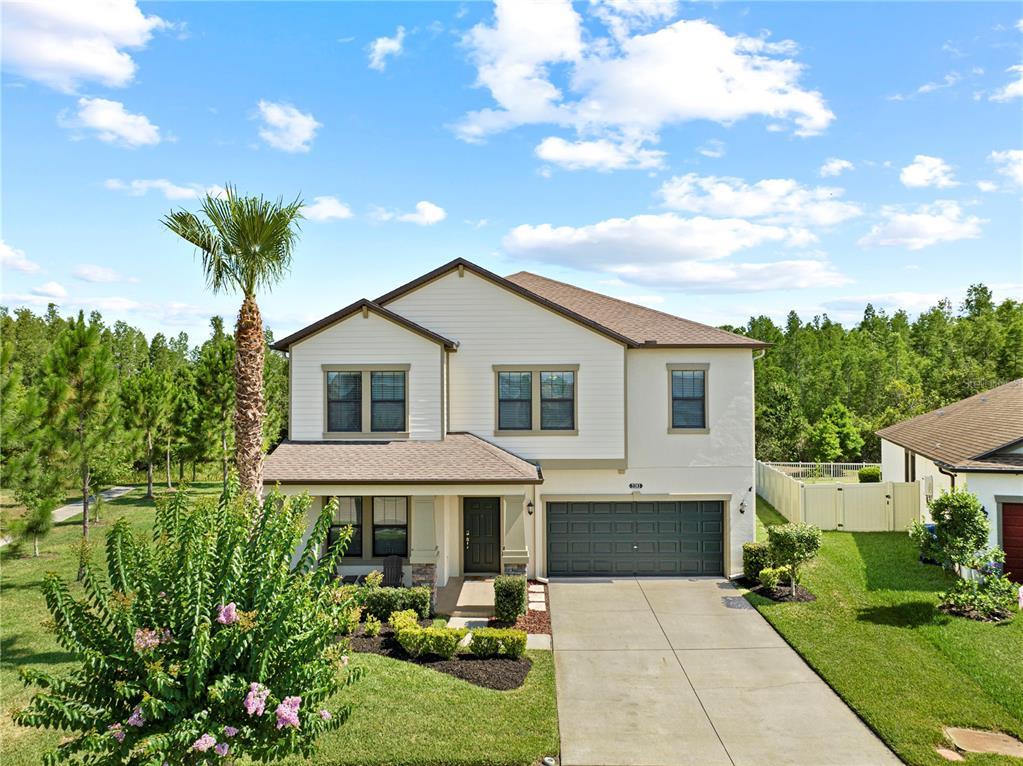 Picture of 21383 Southern Charm Drive, Land O Lakes, FL 34637