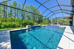 Picture of 21794 Pristine Lake Boulevard, Land O Lakes, FL 34637