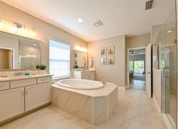 Picture of 21794 Pristine Lake Boulevard, Land O Lakes, FL 34637