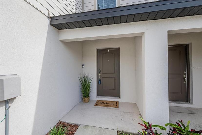 Picture of 5429 Companion Lane, Tampa FL 33619