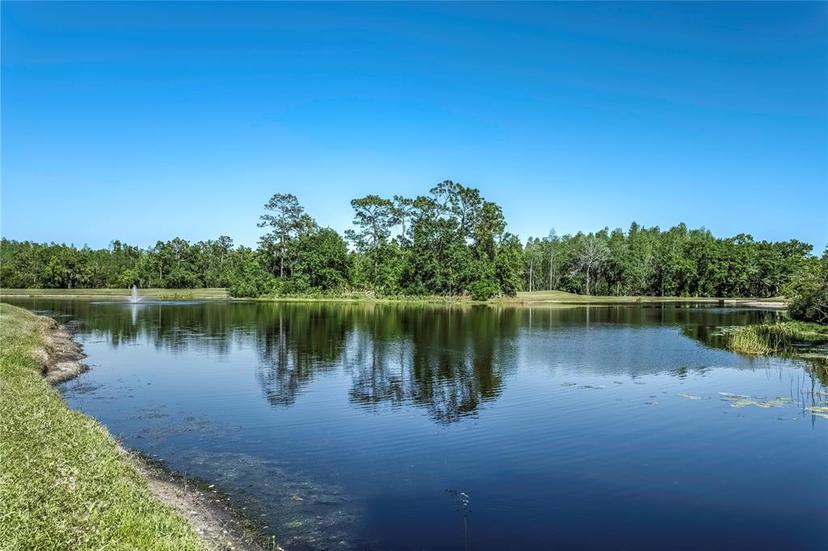 Picture of 8116 Sanguinelli Road, Land O Lakes FL 34637