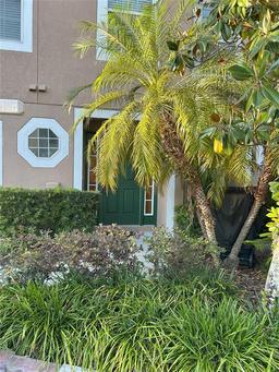 Picture of 9508 Ashburn Creek Lane, Tampa, FL 33610