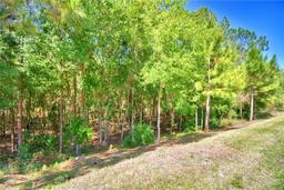 Picture of 1573 Vienna Square Dr, Winter Haven, FL 33884