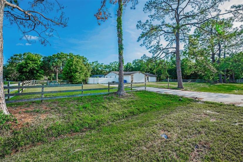 Picture of 12704 Twin Branch Acres Road, Tampa FL 33626