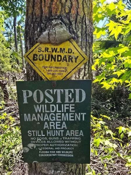 Picture of 335 SE Yearling Road, Mayo FL 32066
