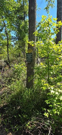 Picture of 335 SE Yearling Road, Mayo, FL 32066