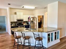 Picture of 28 Buffalo Meadow Lane, Palm Coast, FL 32137