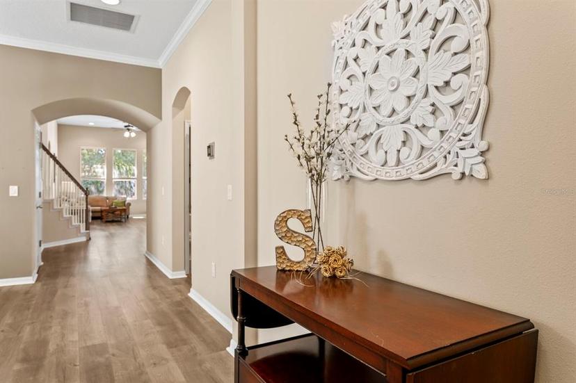 Picture of 13312 Tiger Lilly Lane, Tampa FL 33625