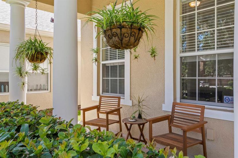 Picture of 13312 Tiger Lilly Lane, Tampa FL 33625
