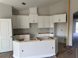 Picture of 738 Pointe Emerson Boulevard, Apopka, FL 32703