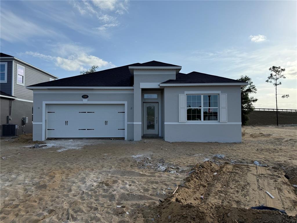 Picture of 738 Pointe Emerson Boulevard, Apopka, FL 32703